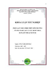 Luận văn Phân lập virus prrs trên môi trường tế bào marc-145 và xác định virus bằng kỹ thuật rt-pcr