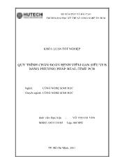 Luận văn Quy trình chẩn đoán bệnh viêm gan siêu vi b bằng phương pháp real-Time pcr