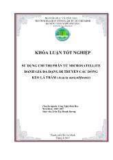 Luận văn Sử dụng chỉ thị phân tử microsatellite đánh giá đa dạng di truyền các dõng keo lá tràm (acacia auriculiformis)