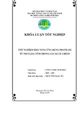 Luận văn Thử nghiệm khả năng ứng dụng protease từ nội tạng tôm trong sản xuất chitin
