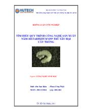Luận văn Tìm hiểu quy trình công nghệ sản xuất nấm metarhizium spp trừ sâu hại cây trồng