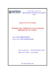 Luận văn Tìm hiểu quy trình sản xuất enzyme bromelain từ vỏ dứa
