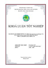Luận văn Xây dựng qui trình trồng cà chua (lycopersicon esculentum) và xà lách (lactuca sativa) bằng phương pháp thủy canh đơn giản trên cát