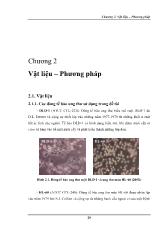 Phương pháp nghiên cứu các các dòng tế bào ung thư