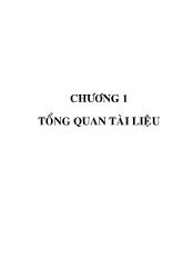 Quản lý tình hình quản lý nước dằn tàu tại hệ thống cảng thành phố Hồ Chí Minh