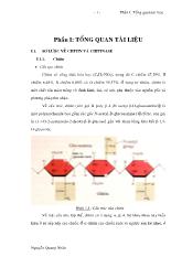 Sơ lược về chitin và chitinase