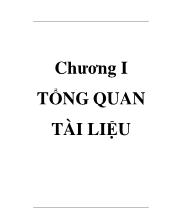 Tạo dòng và biểu hiện gene mã hóa interferon alpha 2b của người trên hệ thống pichia pastoris