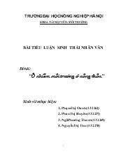 Tiểu luận Vấn đề ô nhiễm môi trường ở nông thôn