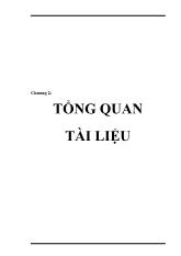 Tổng quan chung về lan Dendrobium