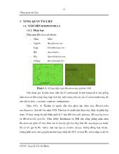 Tổng quan Nấm men rhodotorula