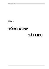 Tổng quan tình hình dịch tễ virus cúm A