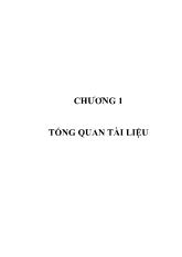 Tổng quan về cây hướng dương