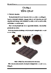 Tổng quan về chocolate