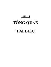 Tổng quan về đậu nành