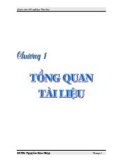 Tổng quan về lúa gạo