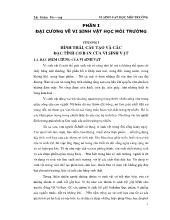 Vi sinh vật học môi trường