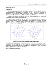 Báo cáo Công nghệ lên men Rifamycin