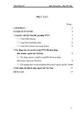 Đề tài Ảnh hưởng của cam kết trong WTO đến đầu tư nước ngoài của Việt Nam và giải pháp
