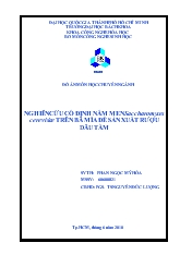 Đề tài Nghiên cứu cố định nấm men saccharomyces cerevisiae trên bã mía để sản xuất rượu dâu tằm