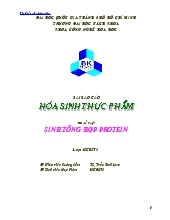 Đề tài Sinh tổng hợp protein