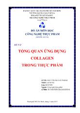 Đề tài Tổng quan ứng dụng collagen trong thực phẩm