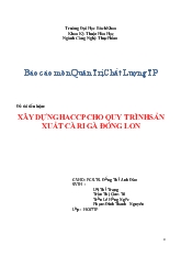 Đề tài Xây dựng haccp cho quy trình sản xuất cà ri gà đóng lon