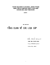 Tổng quan về các loại sáp