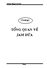 Tổng quan về jam dứa