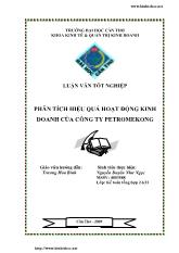 Luận văn Phân tích hiệu quả hoạt động kinh doanh của công ty petromekong