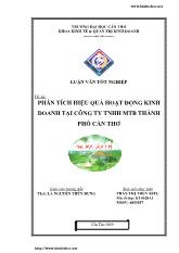 Luận văn Phân tích hiệu quả hoạt động kinh doanh tại công ty TNHH MTB thành phố Cần Thơ