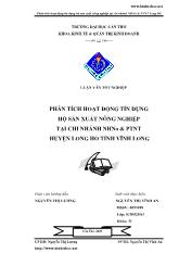 Luận văn Phân tích hoạt động tín dụng hộ sản xuất nông nghiệp tại chi nhánh ngân hàng nông nghiệp và phát triển nông thôn huyện long hồ tỉnh Vĩnh Long