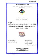 Luận văn Phân tích hoạt động tín dụng tại ngân hàng đầu tư và phát triển chi nhánh Cà Mau (BIDV Cà Mau)