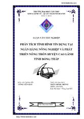 Luận văn Phân tích tình hình tín dụng tại ngân hàng nông nghiệp và phát triển nông thôn huyện Cao Lãnh tỉnh Đồng Tháp