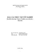 Báo cáo Thực tập tại Công ty Cổ phần cao su Sài gòn – Kym dan