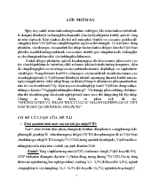 Đề tài Những cơ hội và thách thức của các doanh nghiệp bán lẻ Việt Nam trong quá trình gia nhập WTO