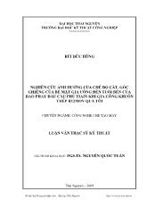 Luận văn Nghiên cứu ảnh hưởng của chế độ cắt, góc ghiêng của bề mặt gia công đến tuổi bền của dao phay đầu cầu phủ tiain khi gia công khuôn thép r12mov qua tôi