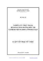 Luận văn Nghiên cứu thực trạng bệnh đái tháo đường điều trị tại bệnh viện đa khoa tỉnh Bắc Kạn