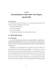 Các kỹ thuật bảo vệ định danh / tính riêng tư dựa trên Mix