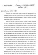 Luận văn Trích cụm danh từ tiếng Việt nhằm phục vụ cho các hệ thống tra cứu thông tin đa ngôn ngữ