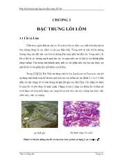 Luận văn Phát hiện khuôn mặt dựa trên đặc trưng lồi lõm - Trần Lê Hồng Dũ