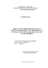 Luận văn Khảo sát đặc điểm sinh học một số chủng nấm sợi thuộc chi aspergillusvà penicillium từ rừng ngập mặn Cần Giờ thành phố Hồ Chí Minh