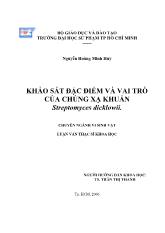 Luận văn Khảo sát đặc điểm và vai trò của chủng xạ khuẩn streptomyces dicklowii