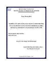 Luận văn Nghiên cứu khả năng nẩy mầm và sinh trưởng của cây hoàng lan (cananga odorata(lamk.) hook.f.& thomson ) ởgiai đoạn vườn ươm