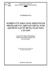 Luận văn Nghiên cứu khả năng sinh enzym protease của một số chủng nấm sợi phân lập từ rừng ngập mặn Cần Giờ