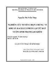 Luận văn Nghiên cứu tuyển chọn chủng vi khuẩn bacillusphân lập từ đất vườn sinh protease kiềm