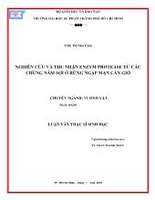 Luận văn Nghiên cứu và thu nhận enzym protease từ các chủng nấm sợi ở rừng ngập mặn Cần Giờ