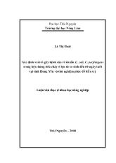 Luận văn Xác định vai trò gây bệnh của vi huẩn E. coli, C. perfringens trong hội chứng tiêu chảy ở lợn từ sơ sinh đến 60 ngày tuổi tại tỉnh Hưng Yên và thử nghiệm phác đồ điều trị