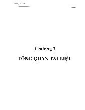Luận văn Bước đầu nghiên cứu sản xuất đàn tôm bố mẹ penaeus vannamei từ post larvae 12-15