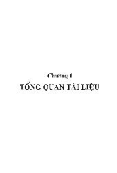 Luận văn Nghiên cứu những đặc tính có ích của vi khuẩn quan dưỡng tía không lưu huỳnh đối với tôm sú penaeus monodon