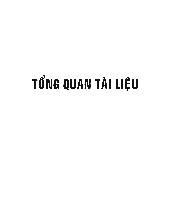 Luận văn Khảo sát các enzym ảnh hưởng đến chất lượng của ca cao thương phẩm trong quá trình ủ lên men hạt ca cao (Theobroma cocoa L.)